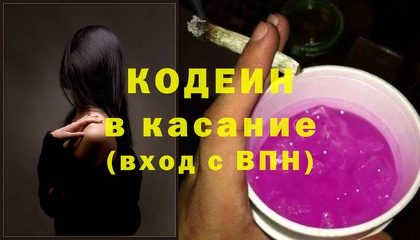 индика Нефтегорск