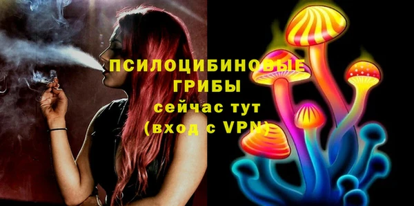 прущая мука Наволоки