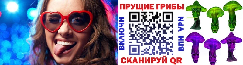 закладка Западная Двина Псилоцибиновые грибы Cubensis