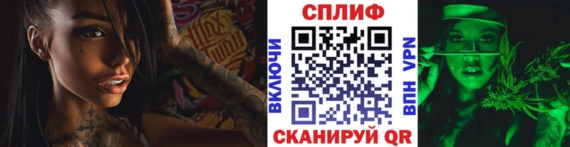 где продают наркотики  Западная Двина  Конопля гибрид 